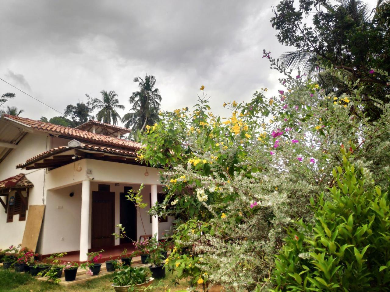 Cinnamon House Hiriketiya Dikwella Exterior foto