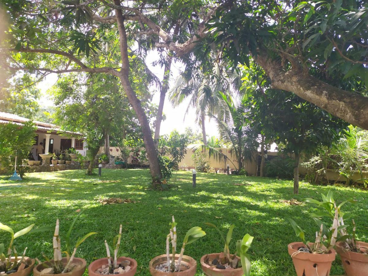 Cinnamon House Hiriketiya Dikwella Exterior foto